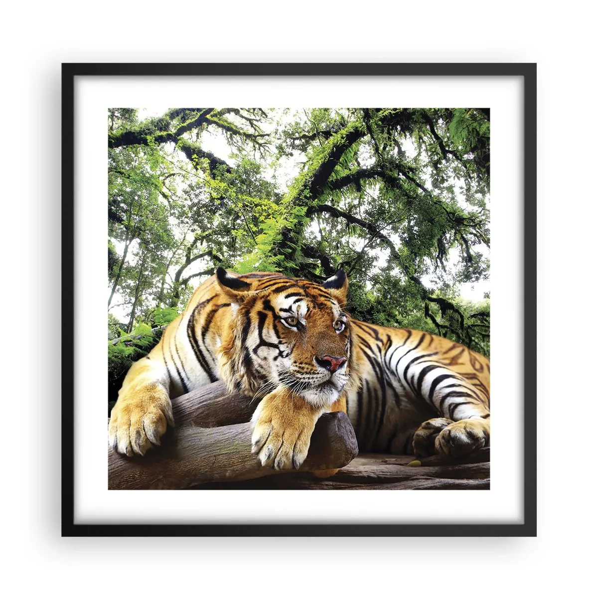 Poster în ramă neagră - Cu respect - 50x50 cm