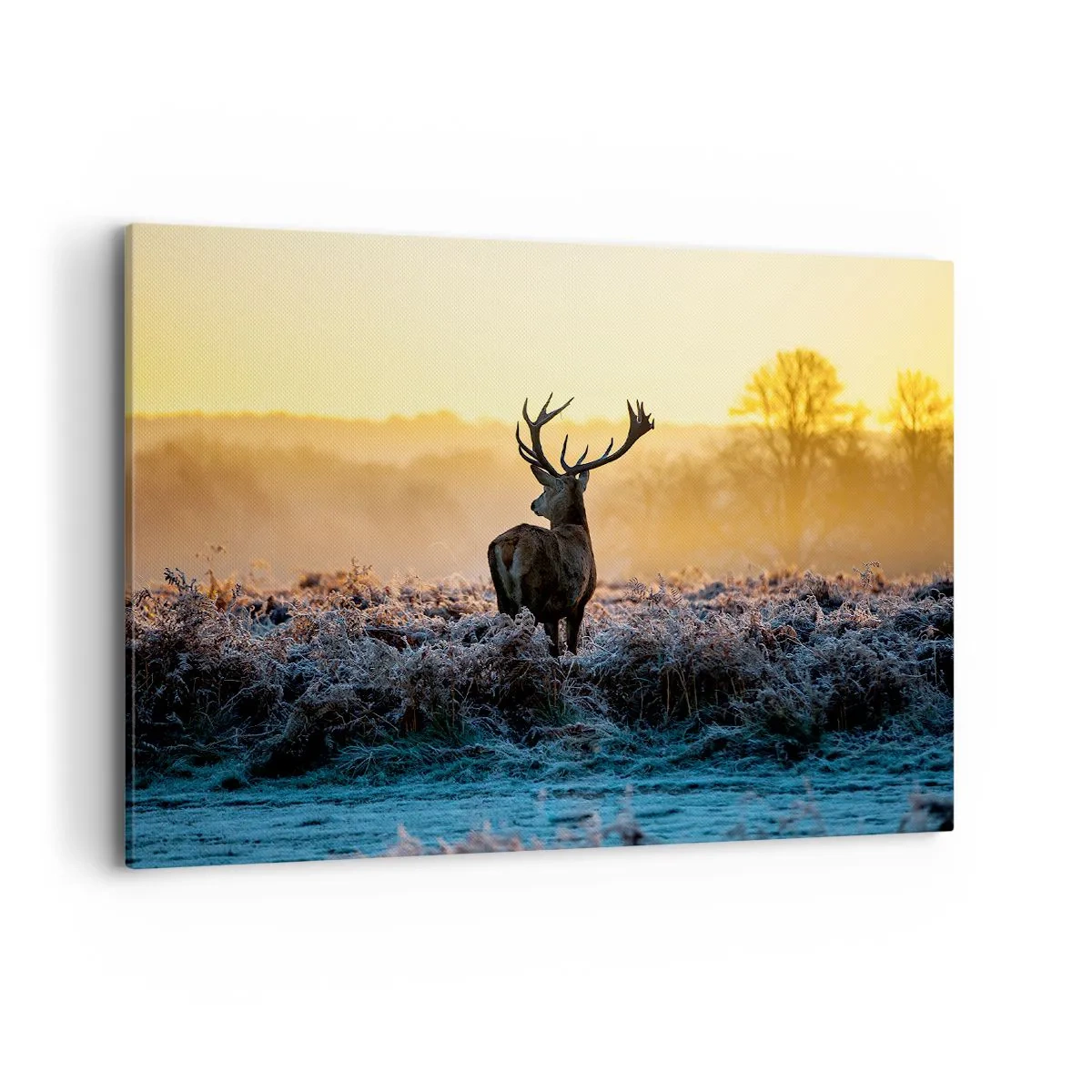 Tablou pe pânză - Încoronat pe domeniul său - 100x70 cm