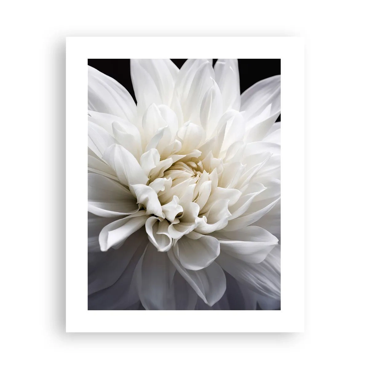 Poster - Dimineața miresei - 40x50 cm