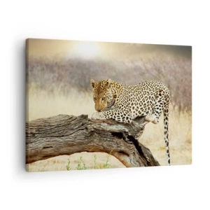 Tablou pe pânză Canvas - Un leopard odihnindu-se pe trunchiul unui copac în savană - 70x50cm - Mă duc pe drumul meu - Decorațiune modernă pentru perete pentru living și dormitor ARTTOR