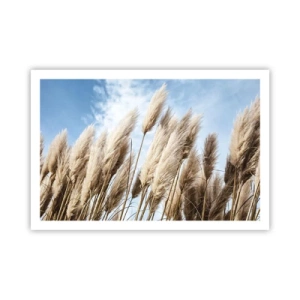 Poster - Mângâiere însorită și vântoasă - 91x61 cm