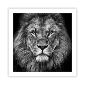 Poster - În ținuta de încoronare - 50x50 cm