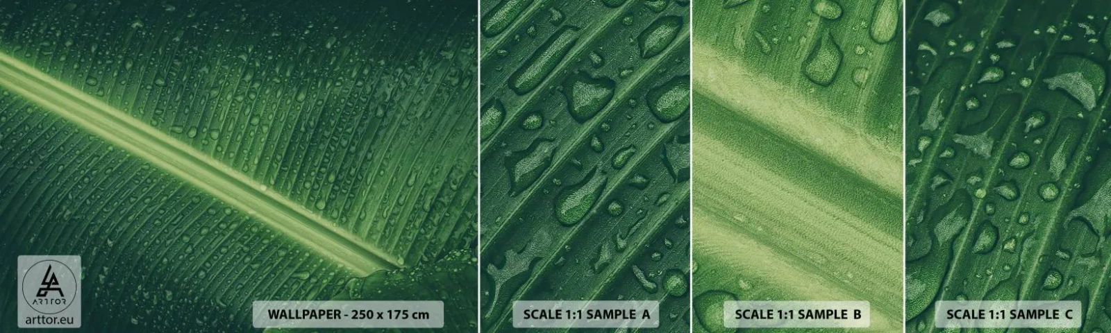 Mostră tapet autocolant Deluxe Sticker - Structura verdelui - Frunză verde, Planta tropicala, Bucată - 100x30 cm