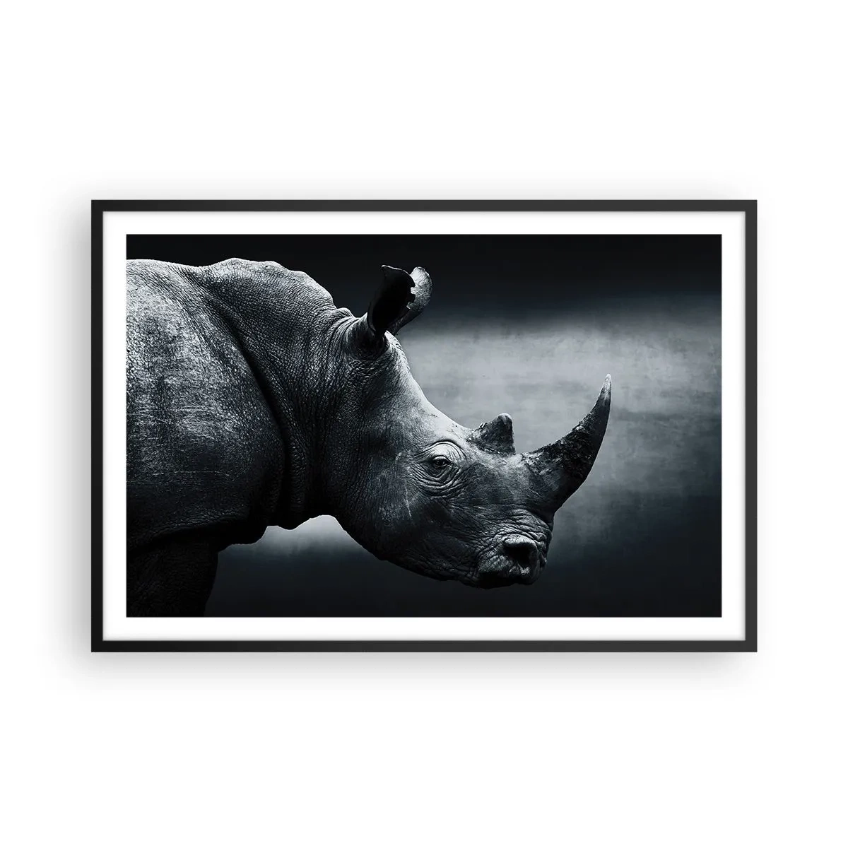 Poster în ramă neagră - Profil drept - 91x61 cm