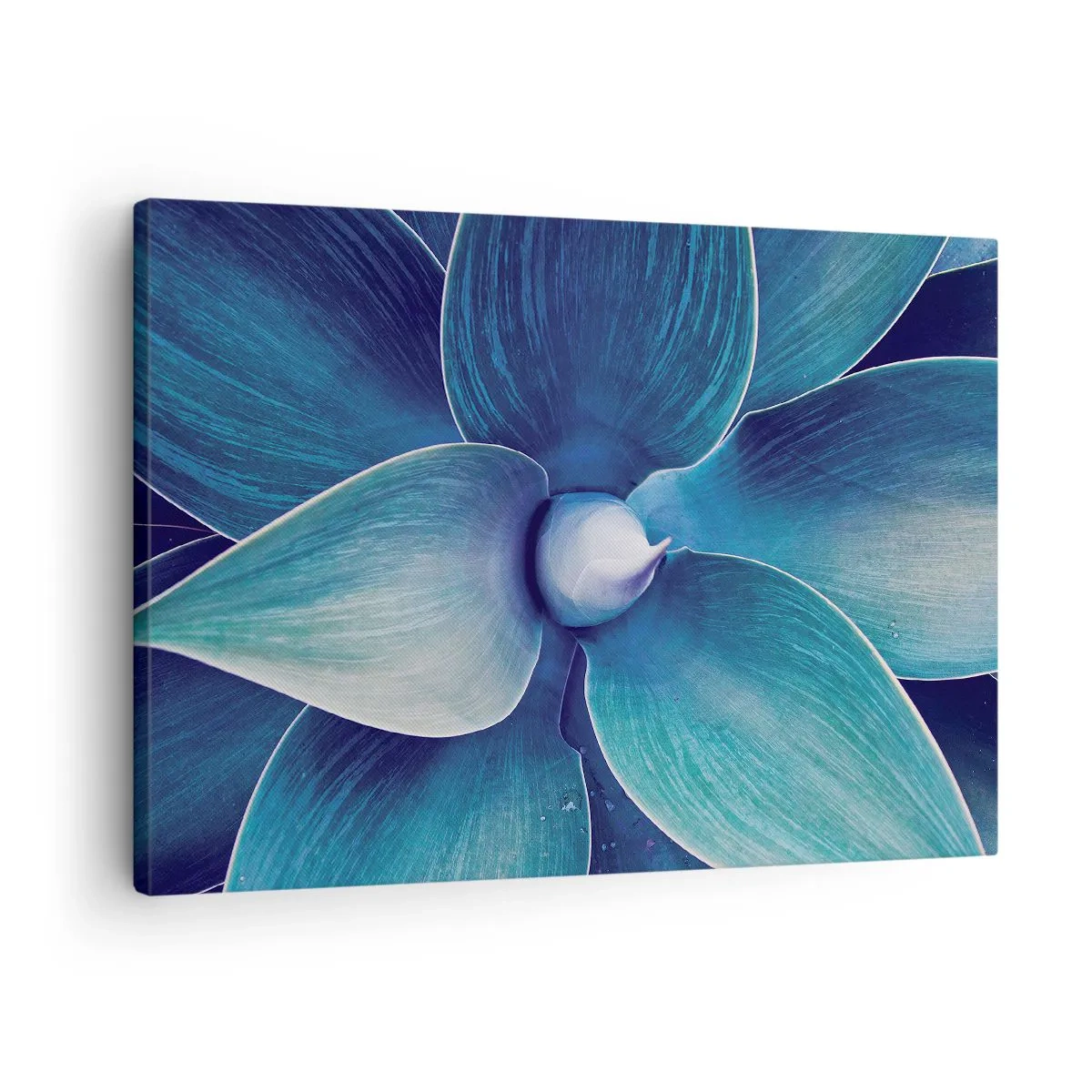 Tablou pe pânză Canvas - Prim-plan al unei flori abstracte în nuanțe de albastru - 70x50cm - A furat albastrul de la cer - Decorațiune modernă pentru perete pentru living și dormitor ARTTOR