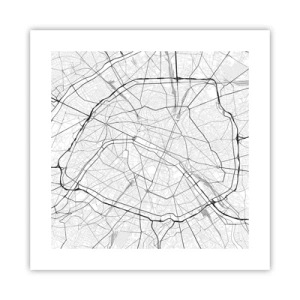 Poster - Floarea Parisului - 40x40 cm