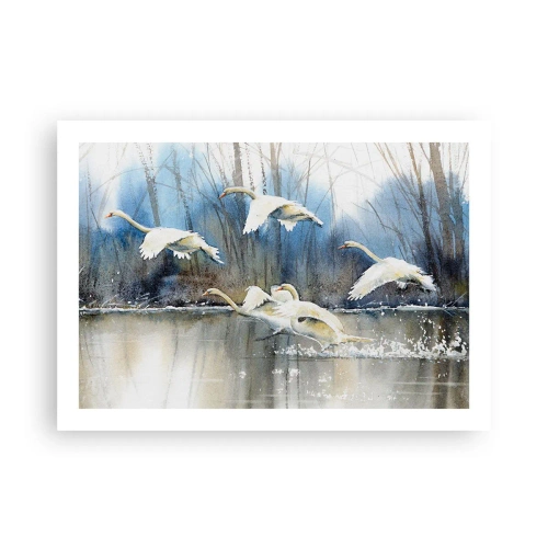 Poster - Dansând cu lebedele sălbatice - 70x50 cm