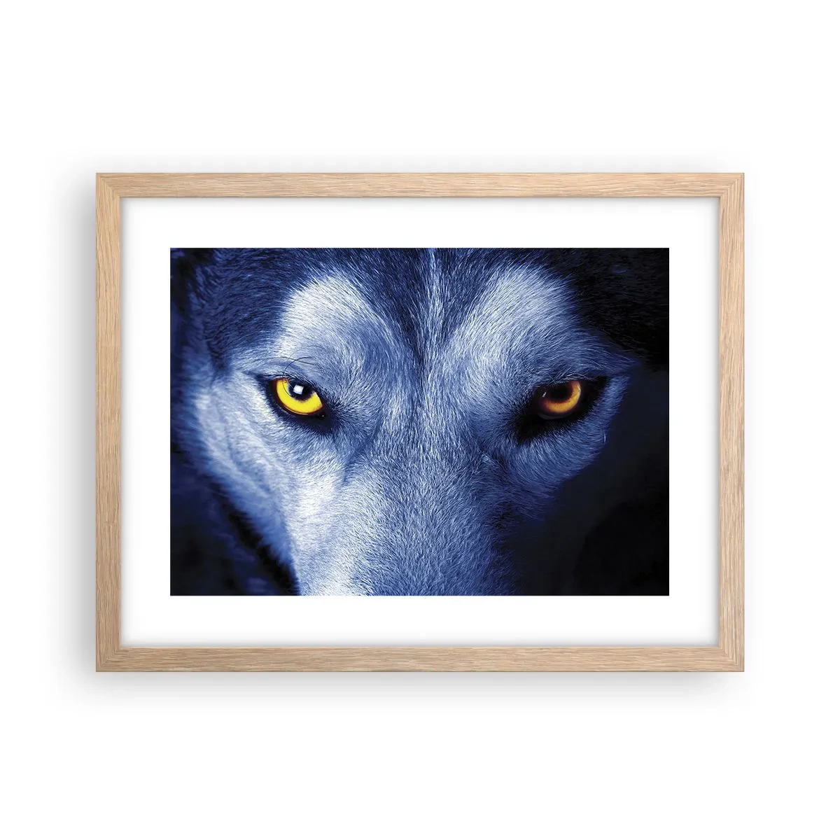 Poster în ramă de stejar deschis - O privire hipnotizantă - 40x30 cm