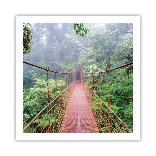 Poster - Suspendat deasupra coroanelor arborilor - 60x60 cm