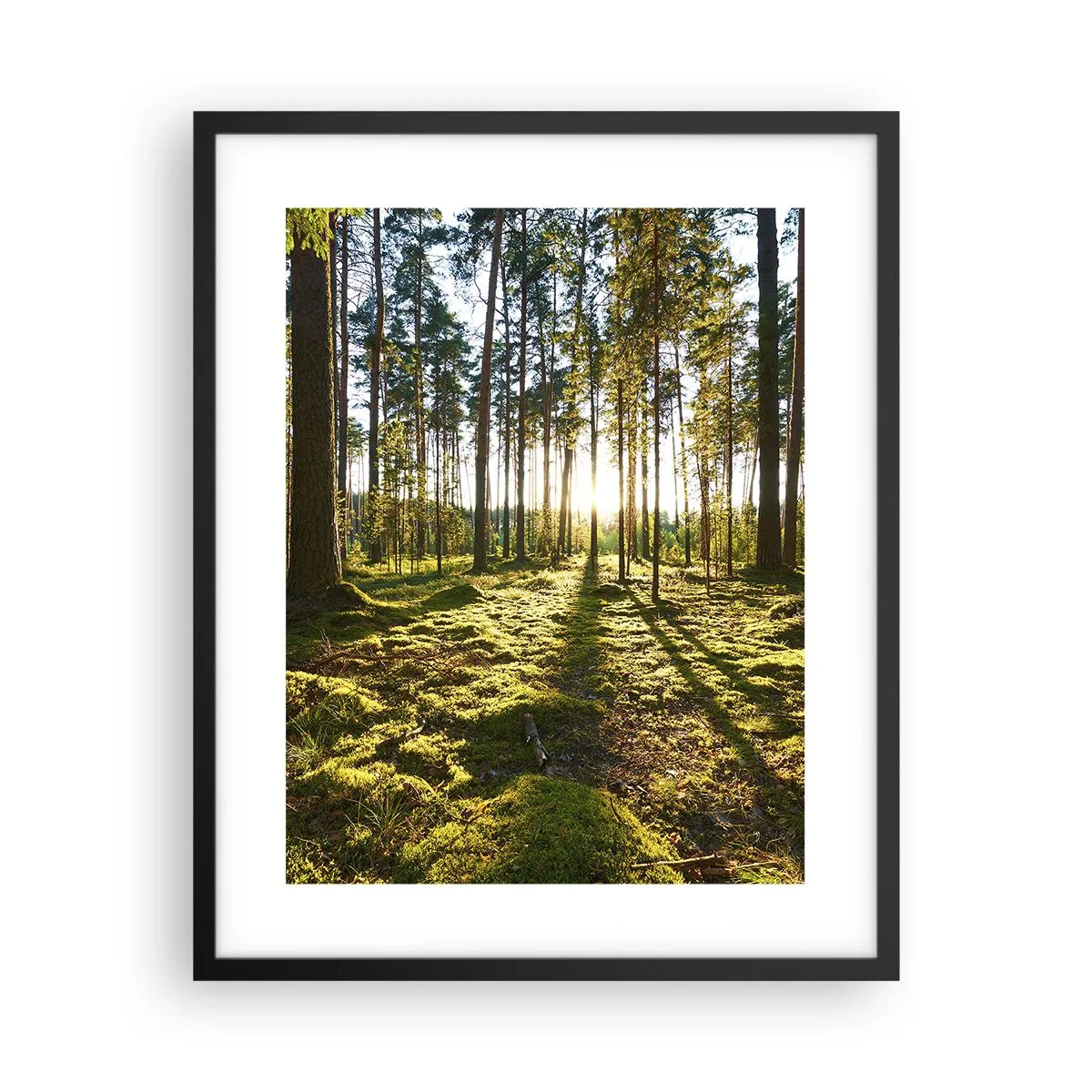 Poster în ramă neagră - Pădurea misterioasă - 40x50 cm