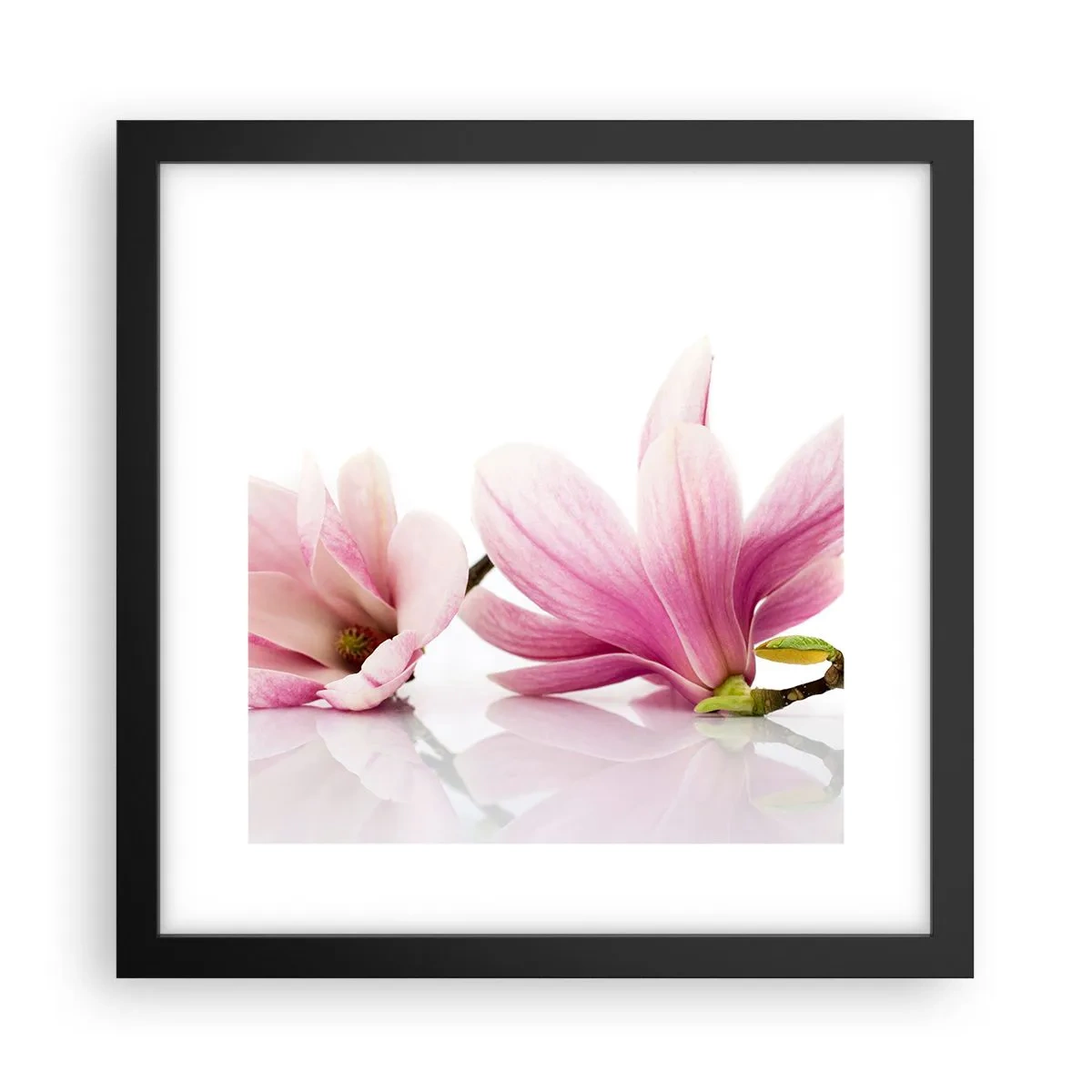 Poster în ramă neagră - Delicate ca o adiere de primăvară - 30x30 cm
