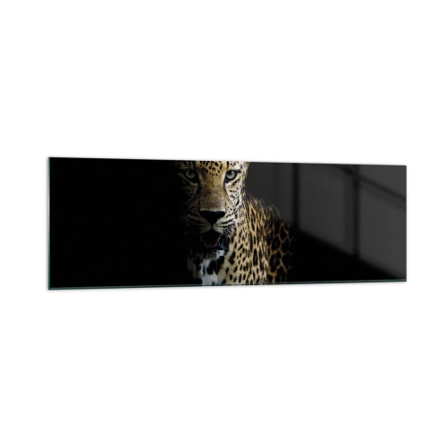 Tablou pe sticlă - Frumusețe întunecată - 160x50 cm