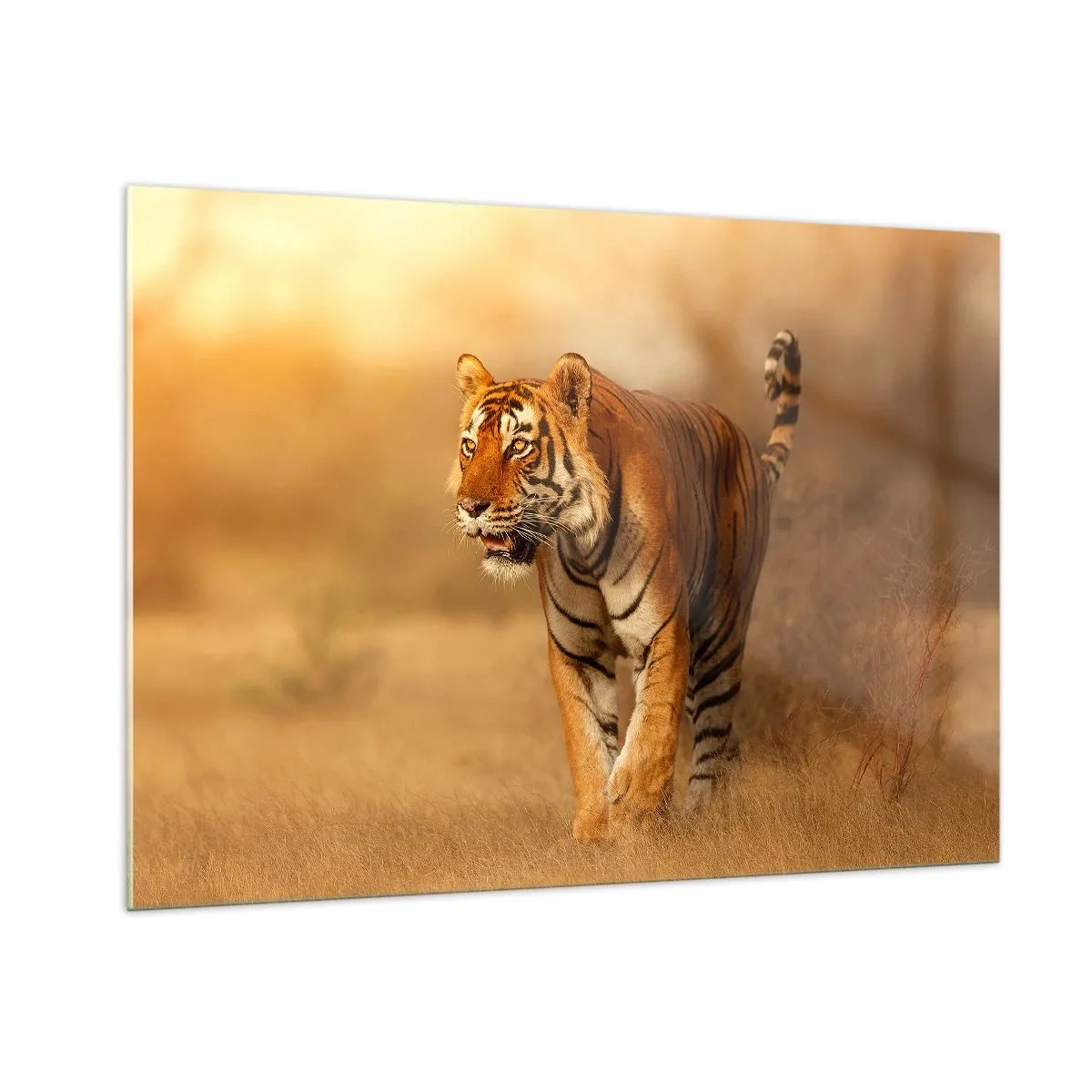 Tablou pe sticlă - Înainte de atac - 100x70 cm