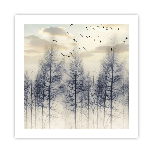 Poster - Spiritele pădurii - 50x50 cm