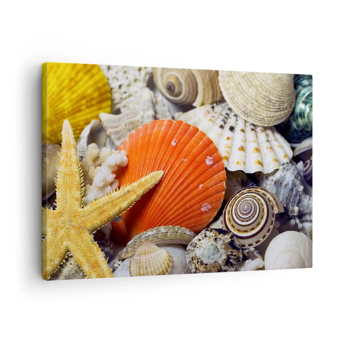 Tablou pe pânză Canvas - Scoici și stele de mare într-o compoziție marină - 70x50cm - Comorile oceanului - Decorațiune modernă pentru perete pentru living și dormitor ARTTOR