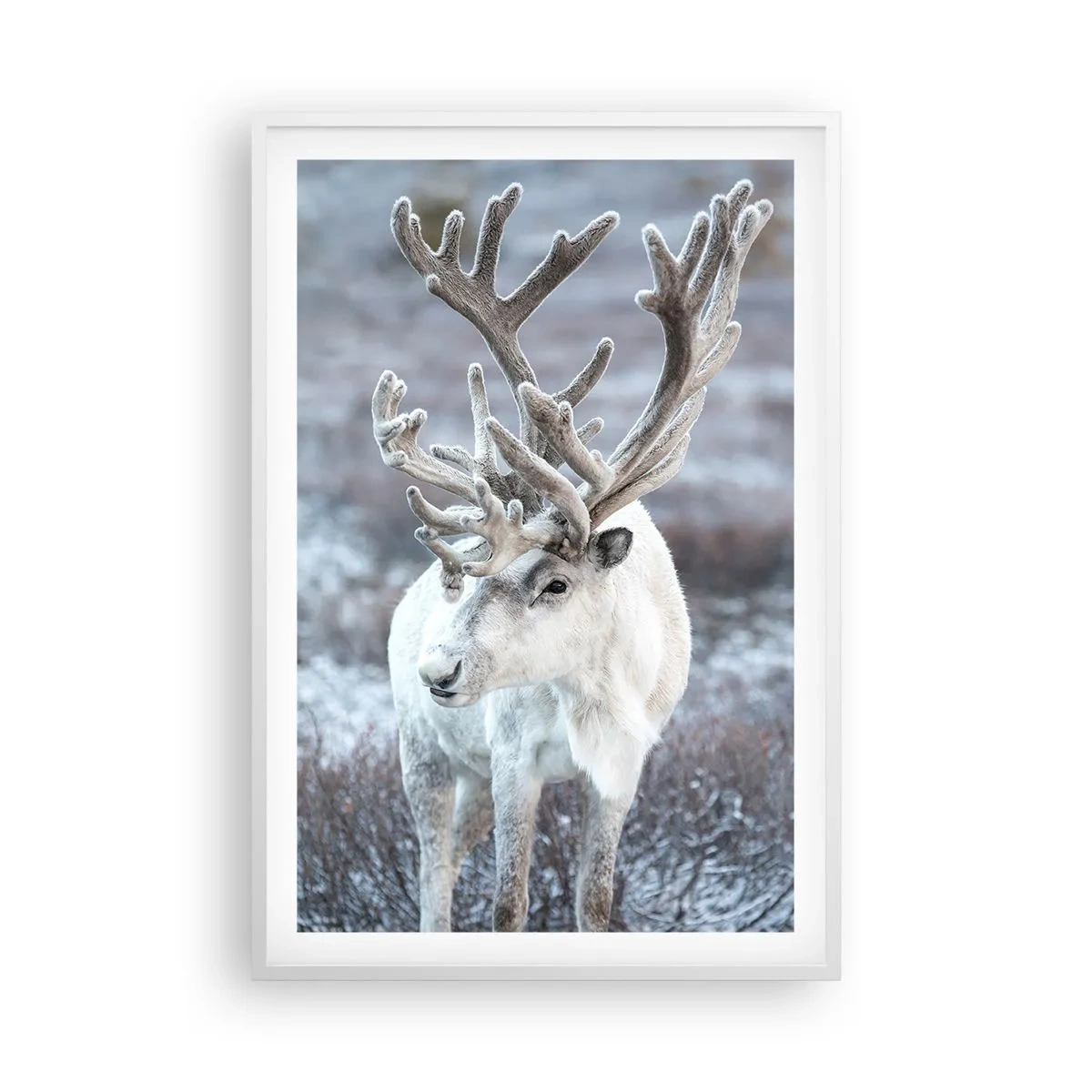 Poster în ramă albă - Portret la soare - 61x91 cm