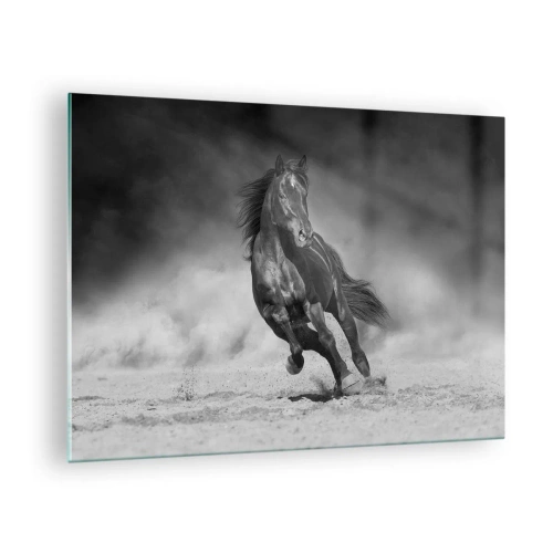 Tablou pe sticlă - Un cal negru galopând pe nisip, în alb și negru. - 70x50cm - Dorința emirului - Decorațiune modernă pentru perete pentru living și dormitor ARTTOR