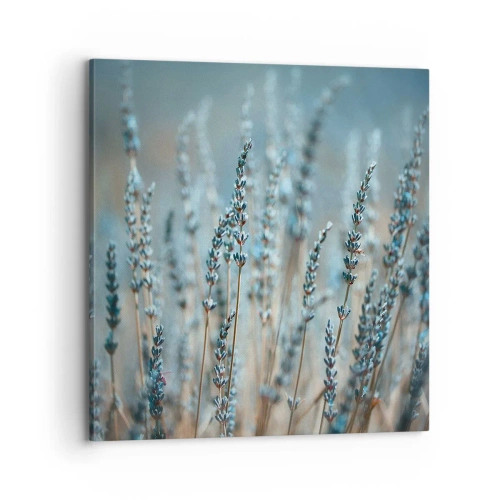 Tablou pe pânză - Câmpul parfumat - 70x70 cm