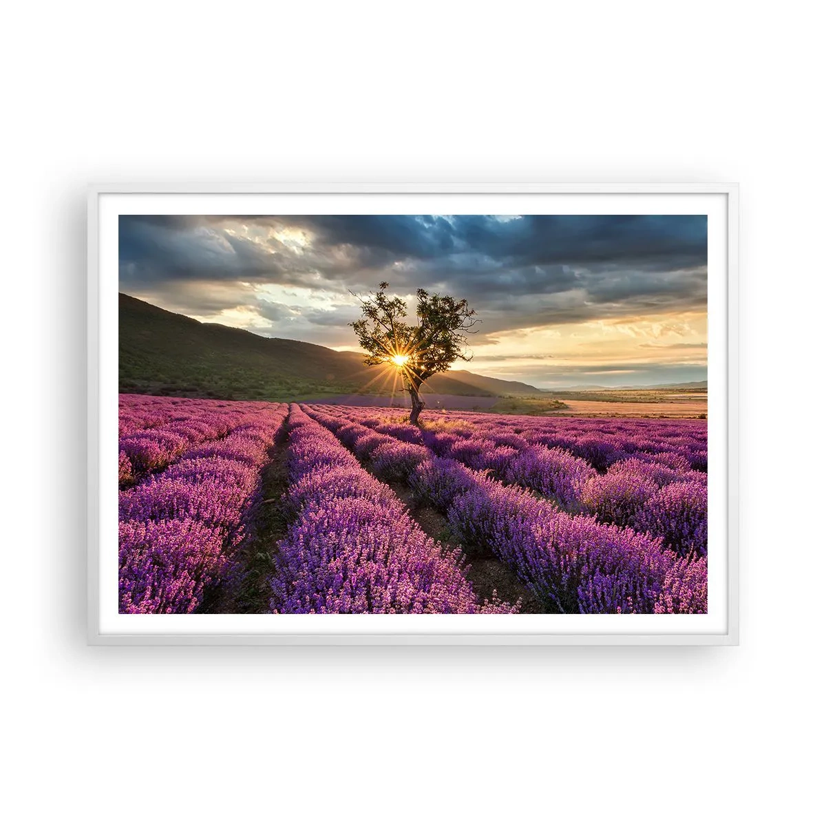 Poster în ramă albă - Aroma în liliac - 100x70 cm