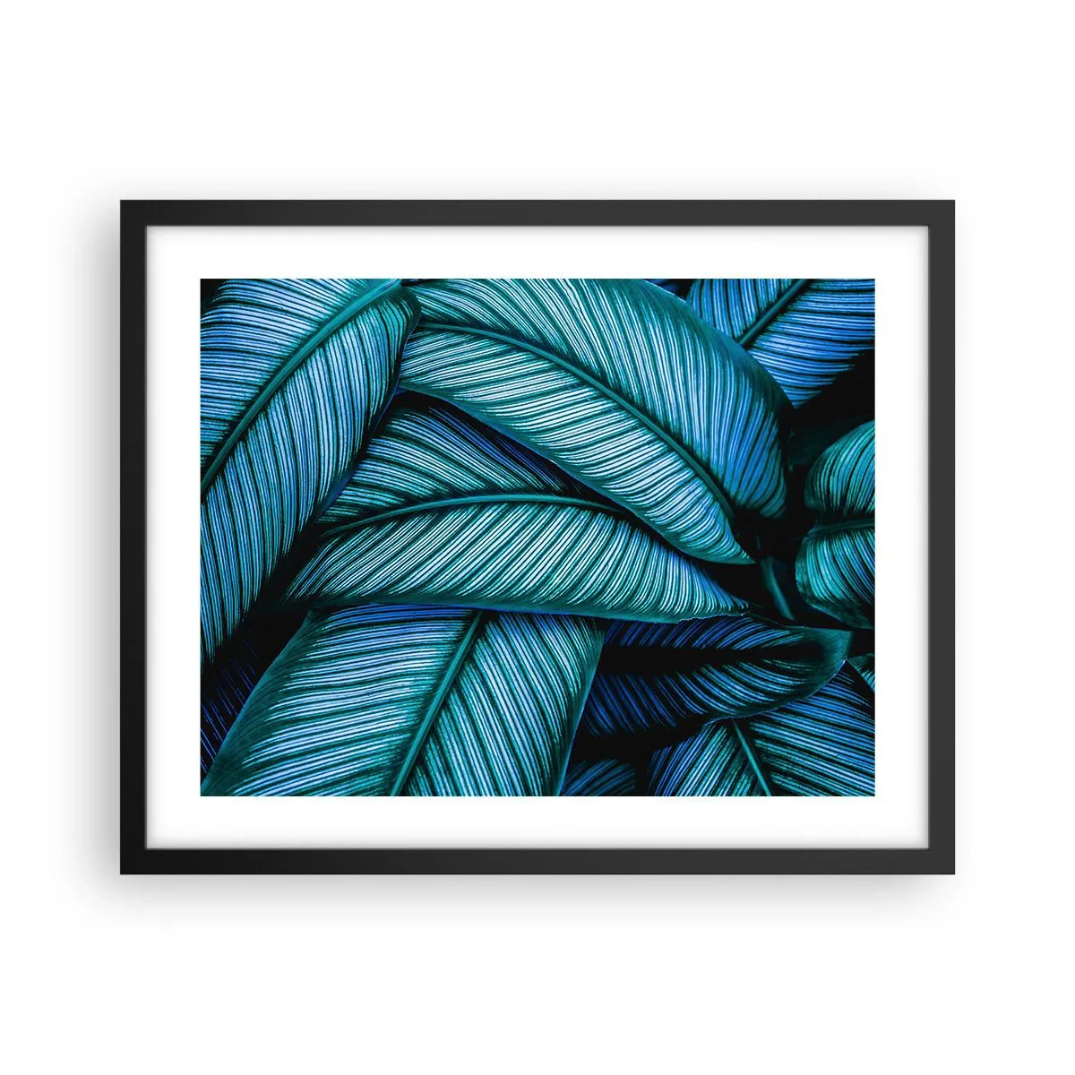 Poster în ramă neagră - Linii de viață - 50x40 cm