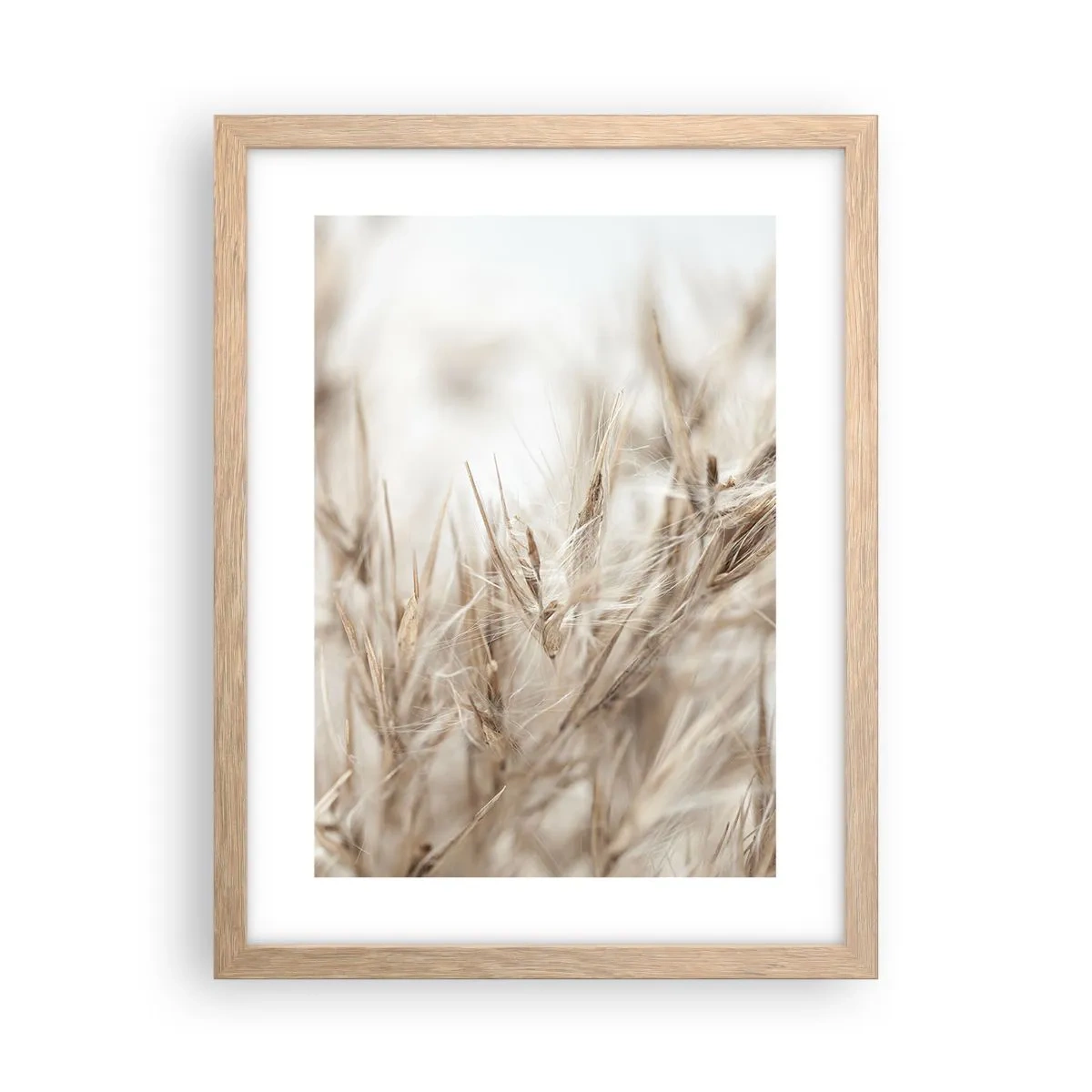 Poster în ramă de stejar deschis - Pajiște și vânt - 30x40 cm