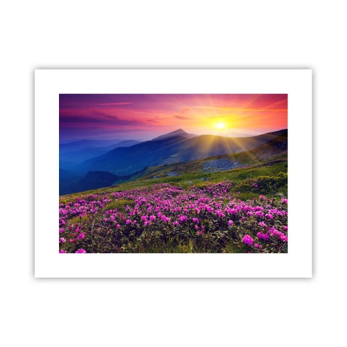 Poster - ... Și peste tot în jur se simte un miros de jneapăn și parfum de ierburi... - 40x30 cm