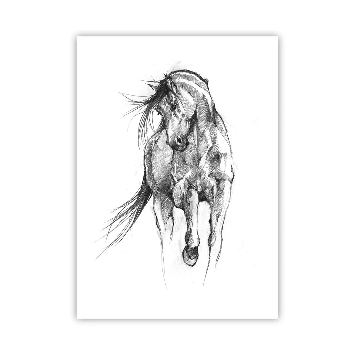 Poster - Într-un trap grațios - 50x70 cm