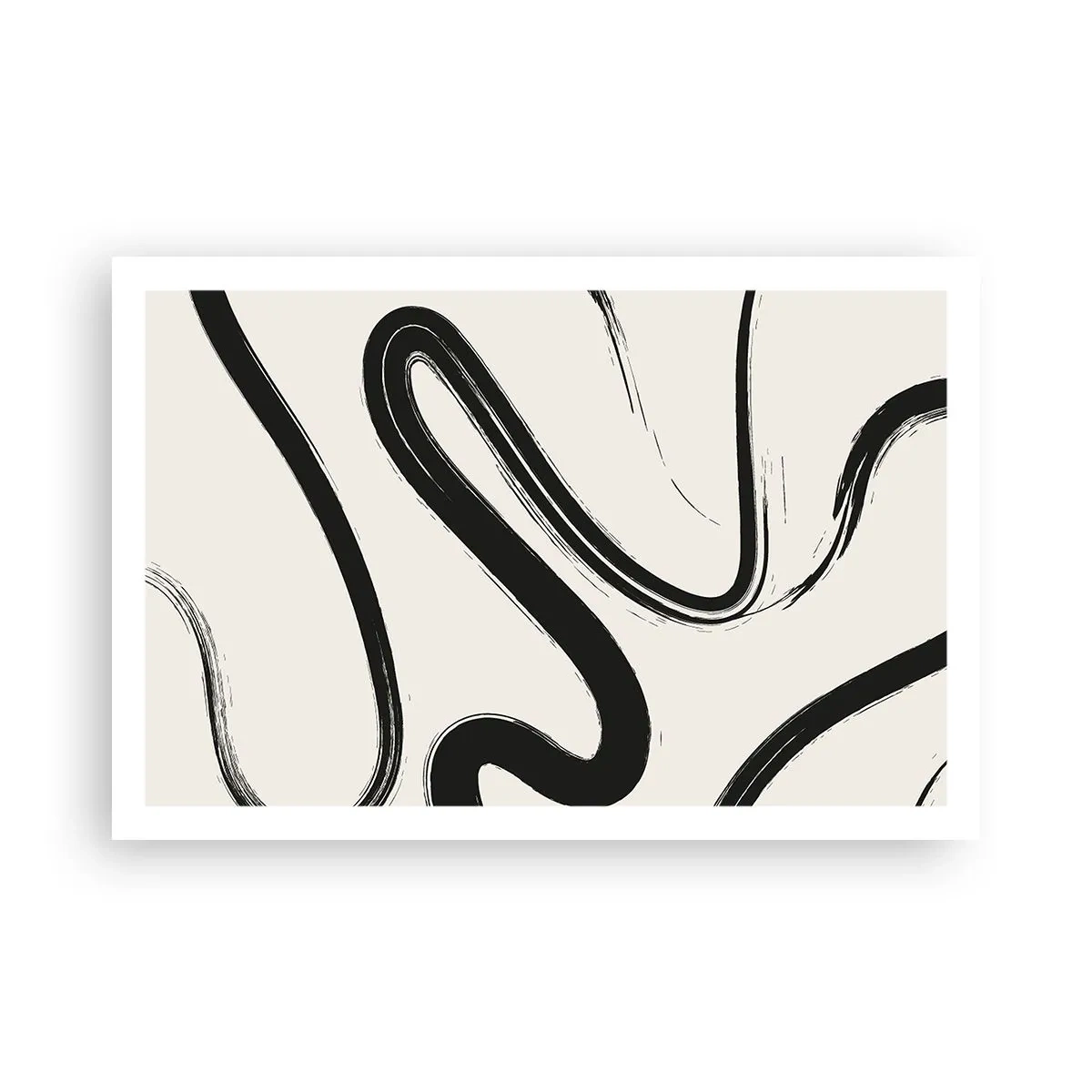 Poster - Capriciu în alb și negru - 91x61 cm