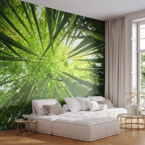 Tapet Standard Eco - Într-o pădure de bambus - Pădure de bambus, Junglă, Bambus - 400x280 cm