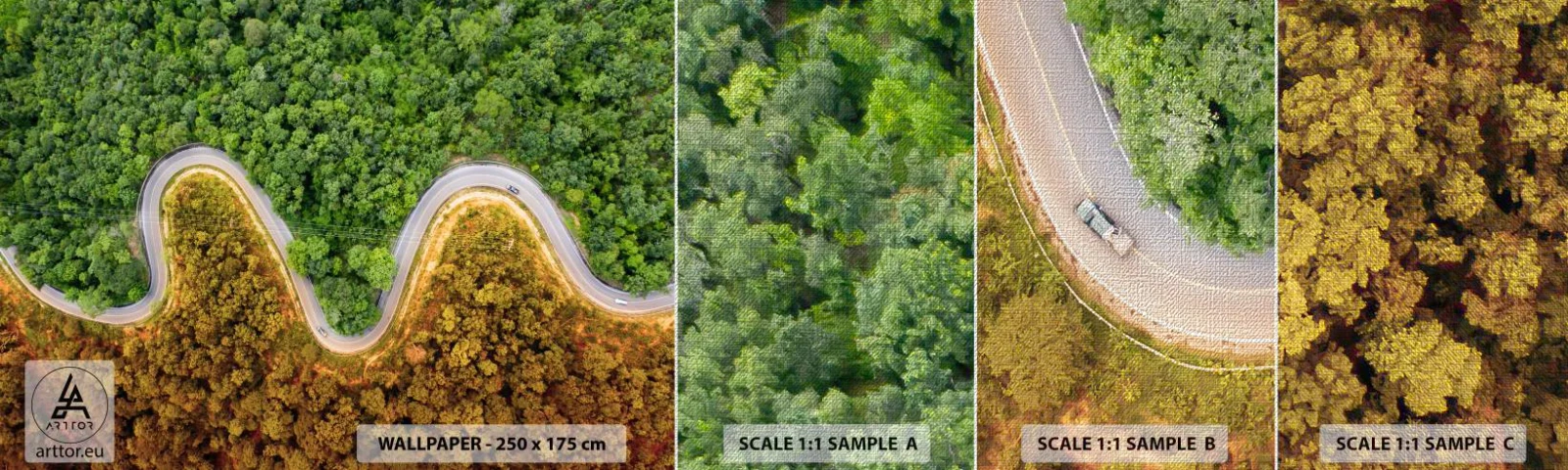 Mostră tapet Premium Canvas - Frontiere și defilee - Peisaj, Drumul Auto, pădure - 100x30 cm