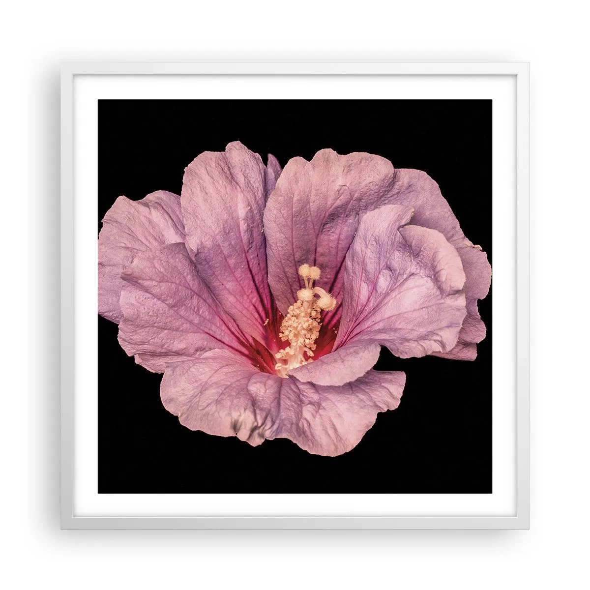 Poster în ramă albă - Direct la inimă - 60x60 cm