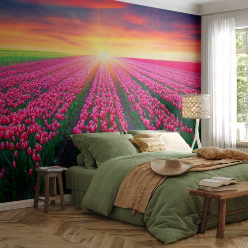 Tapet Premium Sand - Ferma de frumusețe - Flori, Lalele, Apus de soare - 100x70 cm
