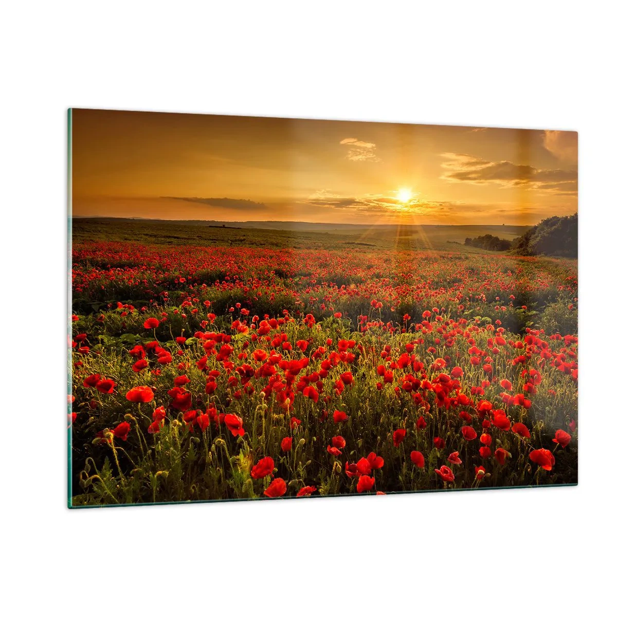 Tablou pe sticlă - Printre valuri de pajiști care zumzăie, printre potop de flori - 120x80 cm