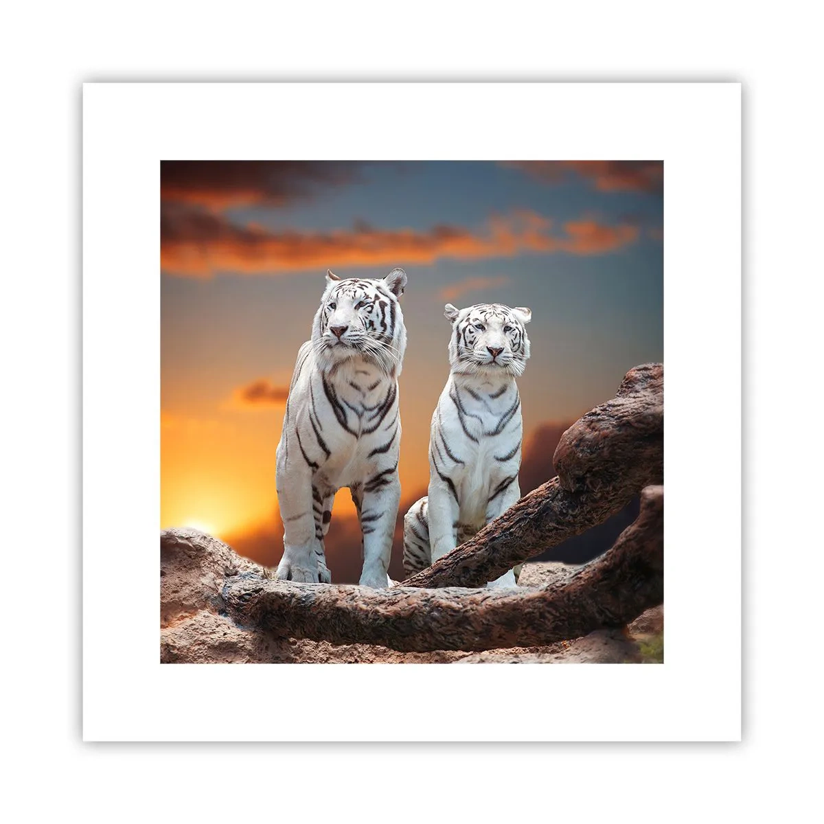 Poster - La fel ca în Narnia - 30x30 cm