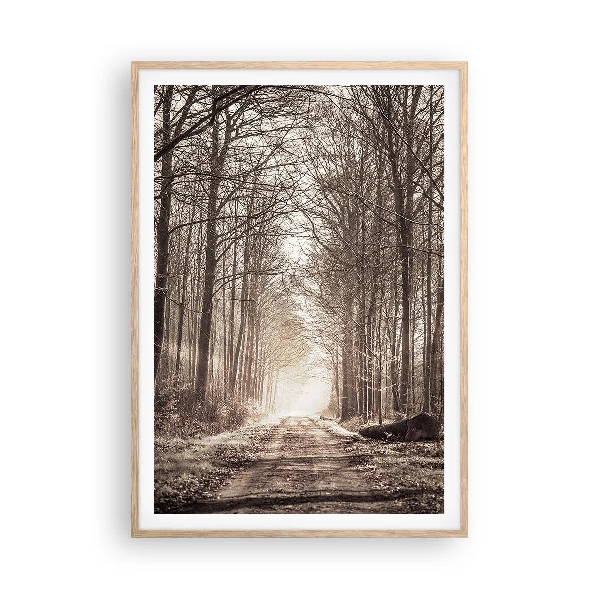 Poster în ramă de stejar deschis - Catedrala Forestieră - 70x100 cm