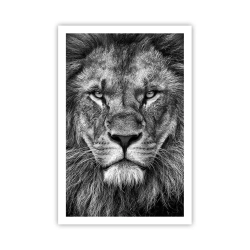 Poster - În ținuta de încoronare - 61x91 cm