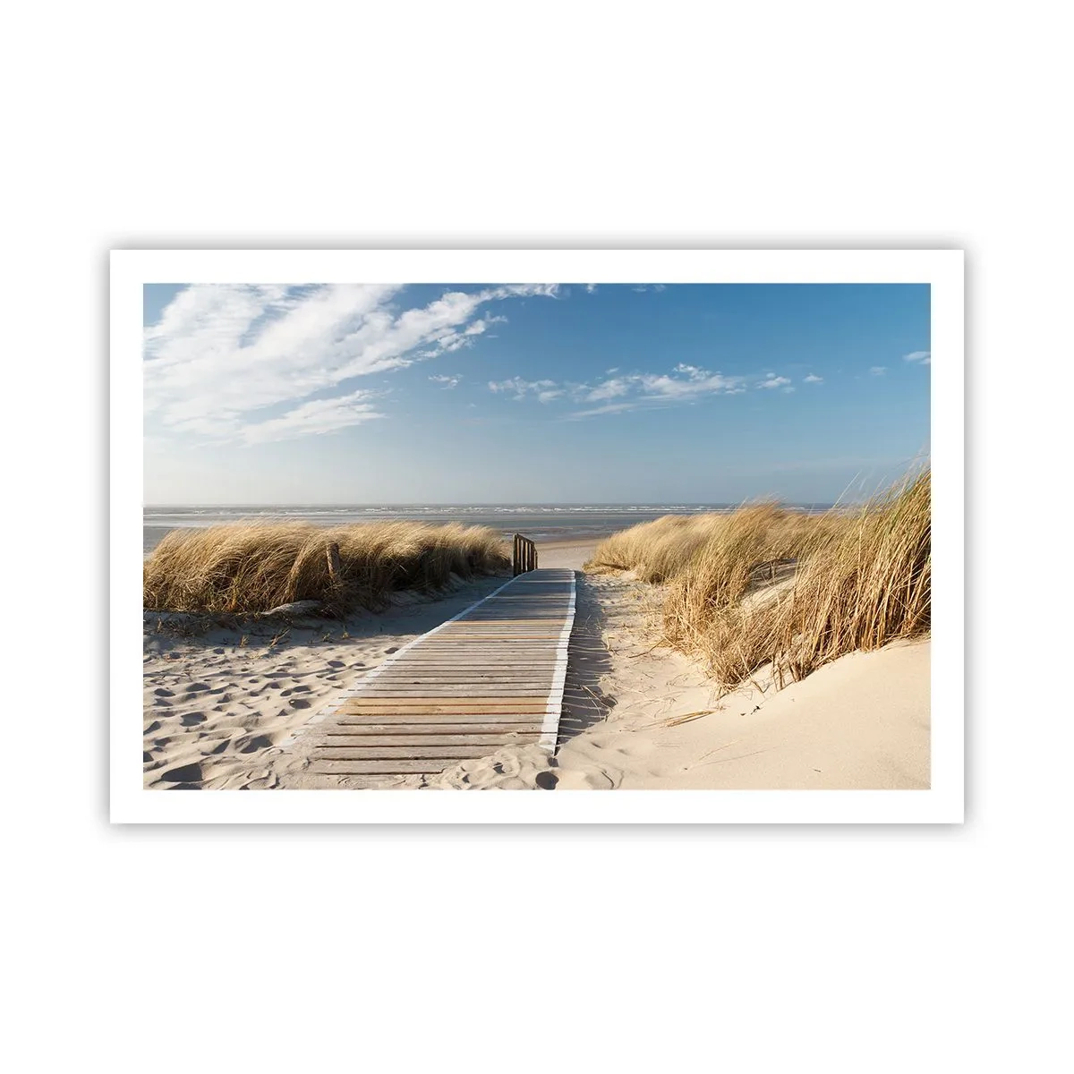 Poster - În spatele dunei, în zumzetul ierbii - 91x61 cm