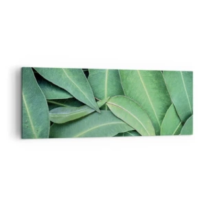 Tablou pe pânză - Suculente și proaspete - 140x50 cm