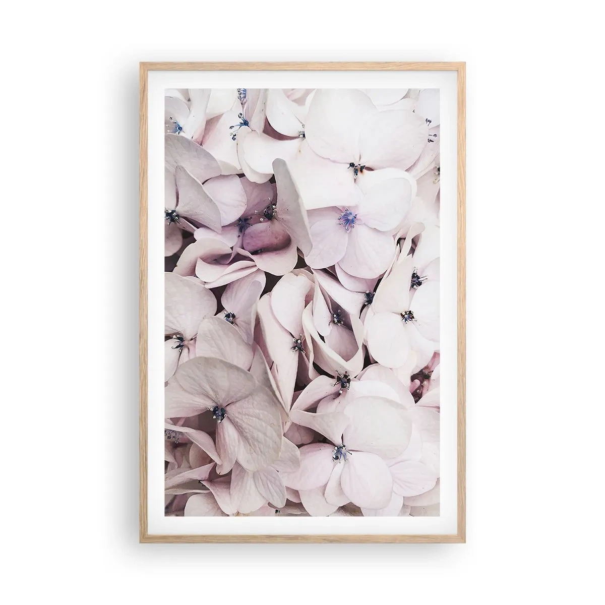 Poster în ramă de stejar deschis - Într-un potop de flori - 61x91 cm