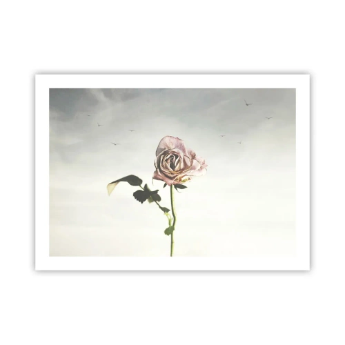 Poster - Primăvara binevenită - 70x50 cm