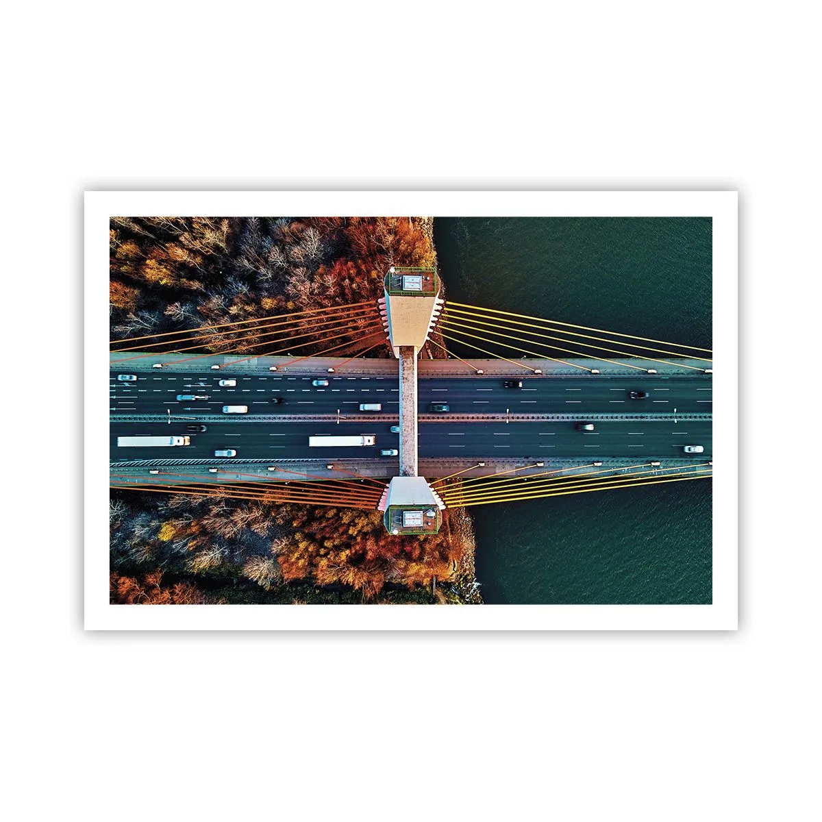 Poster - Din pădure spre apă - 91x61 cm