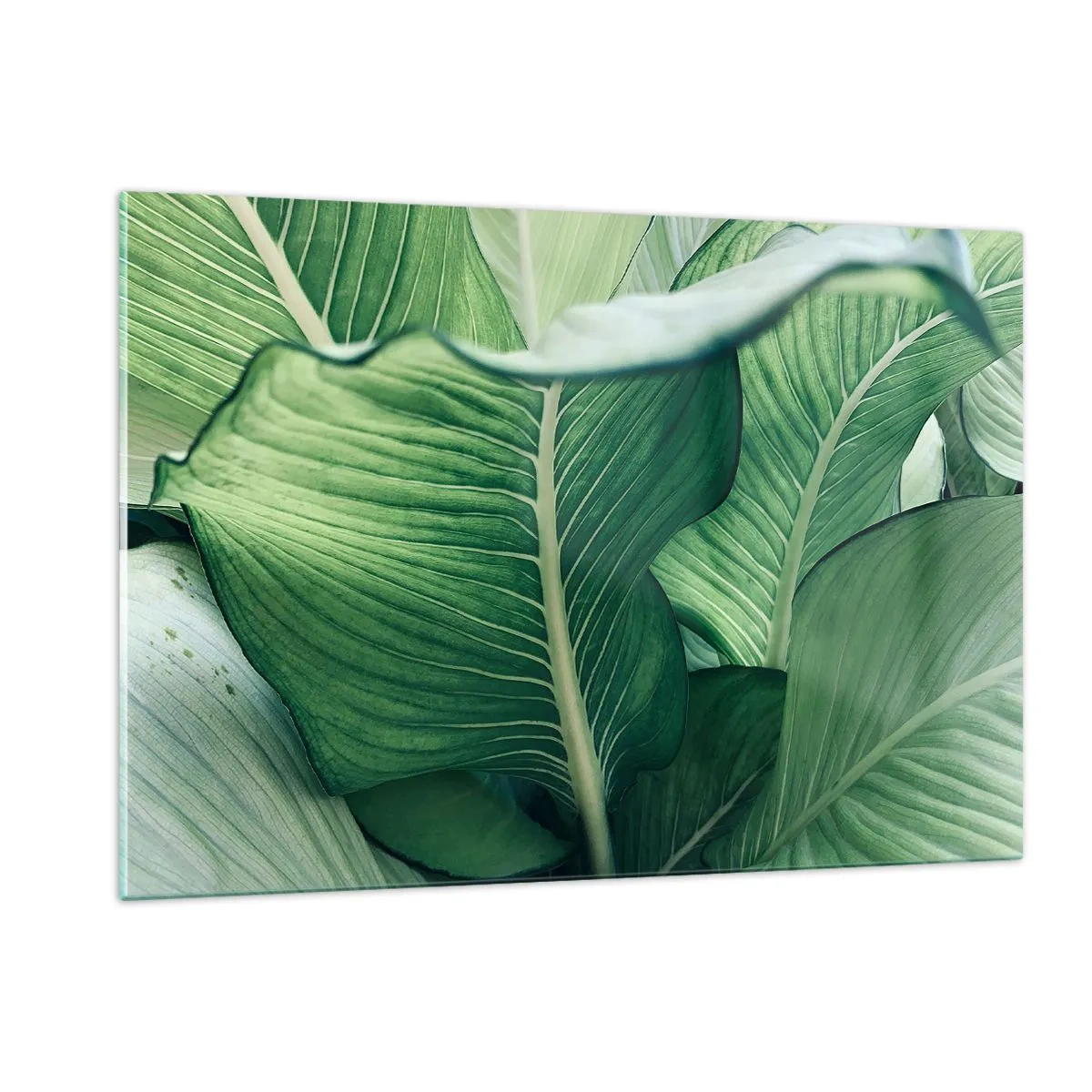 Tablou pe sticlă - Viață intensă în verde - 120x80 cm