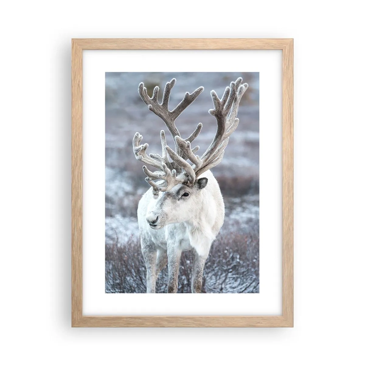 Poster în ramă de stejar deschis - Portret la soare - 30x40 cm