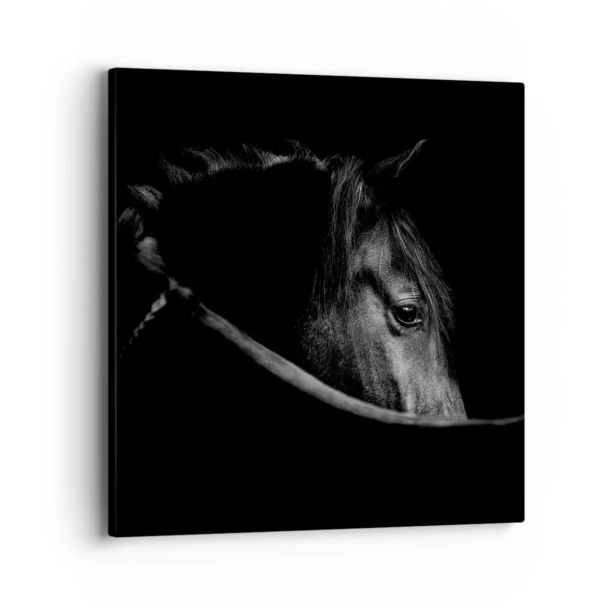 Tablou pe pânză - Prințul negru - 40x40 cm