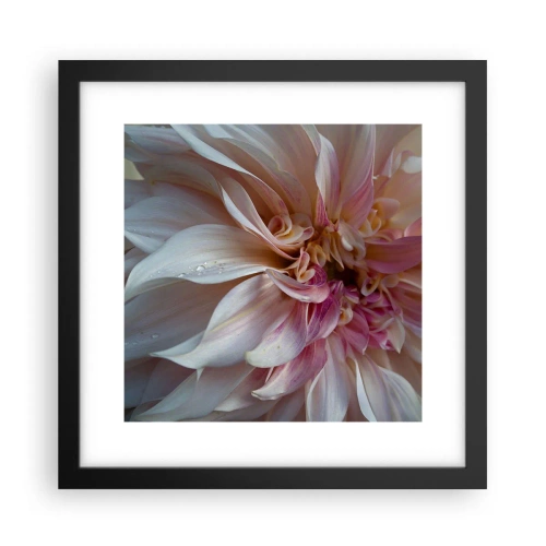 Poster în ramă neagră - Prospețime înfloritoare - 30x30 cm