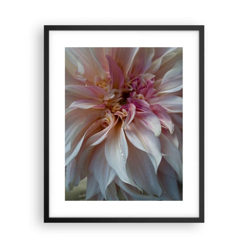 Poster în ramă neagră - Prospețime înfloritoare - 40x50 cm
