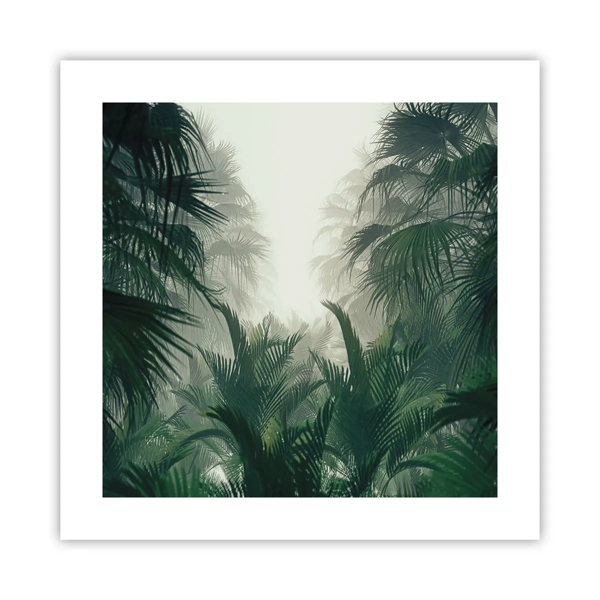 Poster - Mister tropical - 40x40 cm