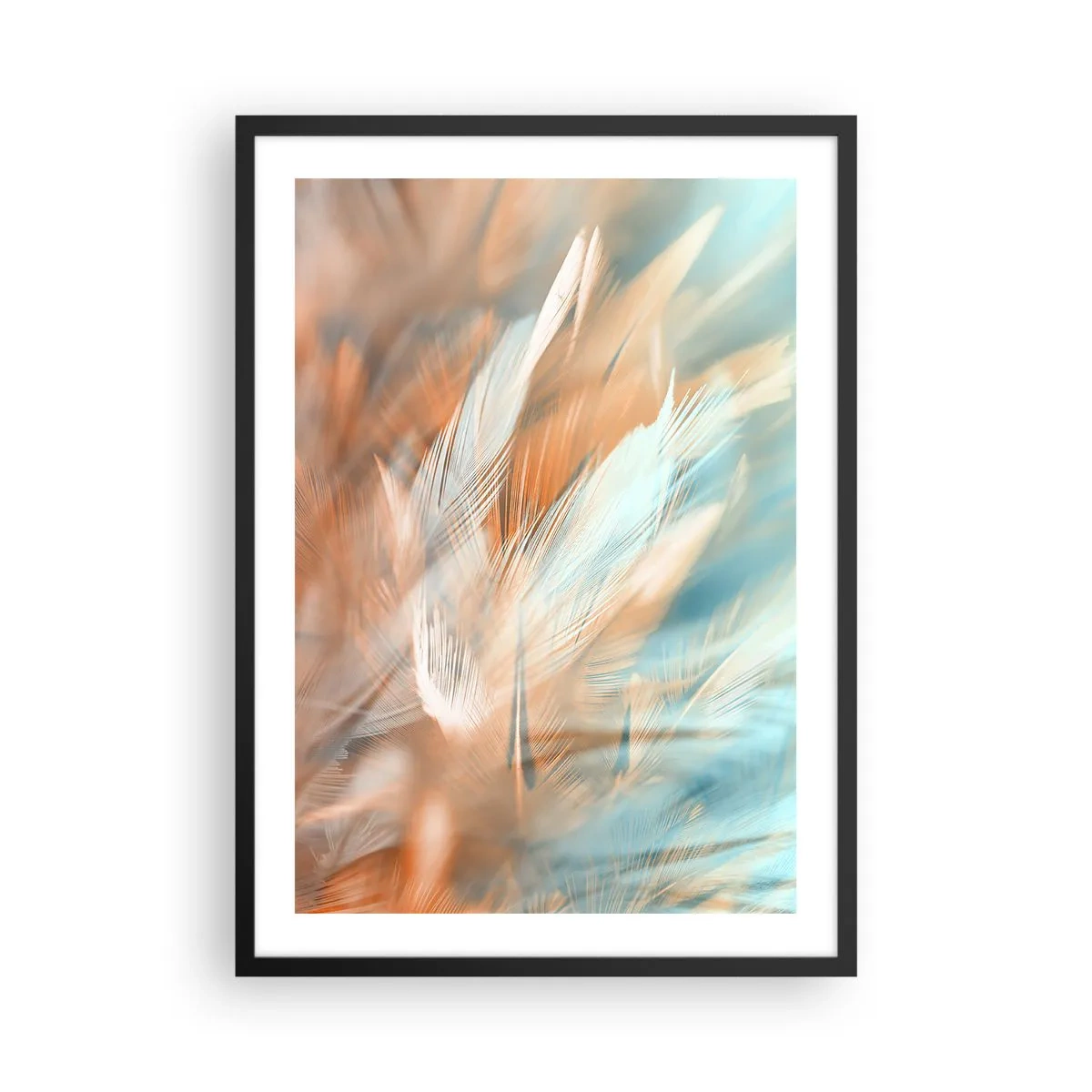 Poster în ramă neagră - Pene delicate în nuanțe de albastru și piersică - 50x70cm - În țara blândeții - Decorațiune modernă pentru perete pentru living și dormitor ARTTOR