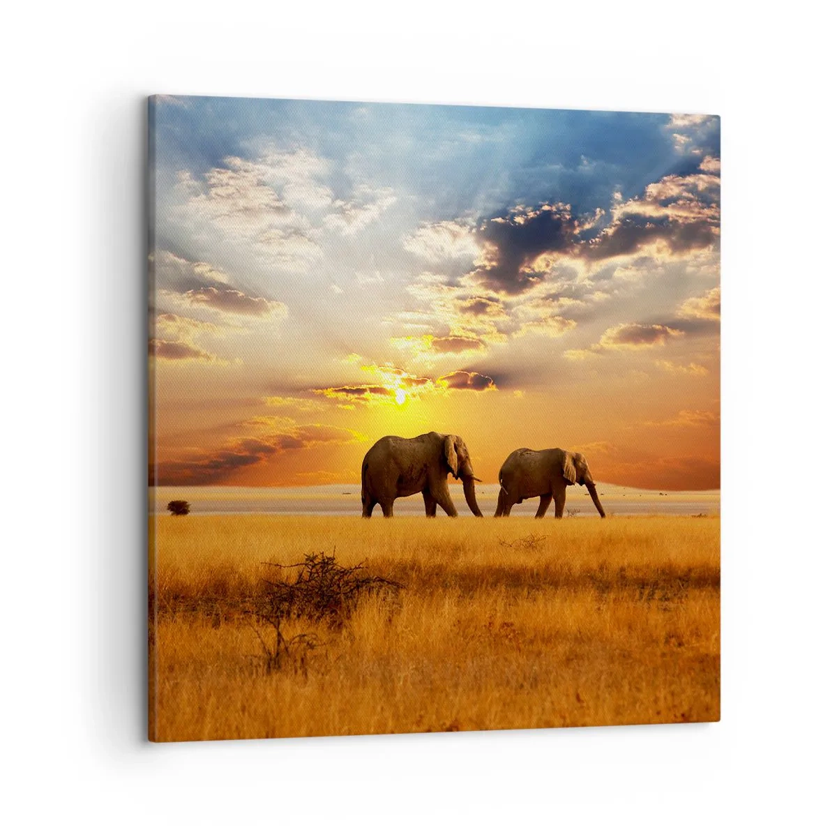 Tablou pe pânză - Plimbare în familie - 50x50 cm