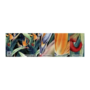 Mostră tapet Premium Sand - Florile de flacără ale tropicelor - Strelitzia Royal, Floare, Africa - 100x30 cm